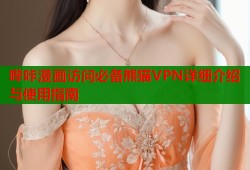 哔咔漫画访问必备熊猫VPN详细介绍与使用指南