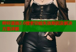 哔咔漫画2.0搜索功能失效原因及解决方案详解