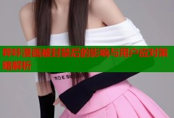 哔咔漫画被封禁后的影响与用户应对策略解析