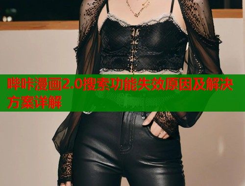 哔咔漫画2.0搜索功能失效原因及解决方案详解