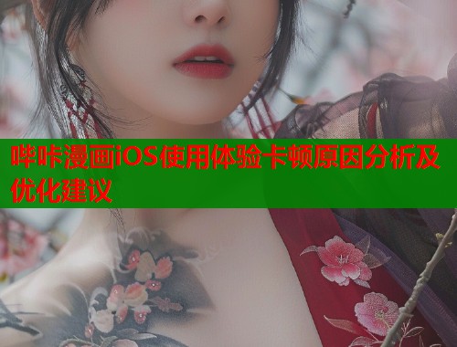 哔咔漫画iOS使用体验卡顿原因分析及优化建议